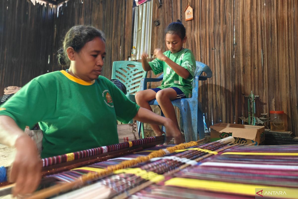 Perjuangan siswa Sekolah Rakyat di Pulau Timor
