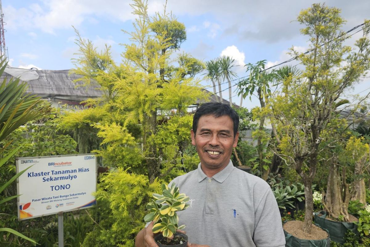 Kisah Klaster Usaha Tanaman Hias binaan BRI: Sukses jadi mata pencaharian warga sekitar