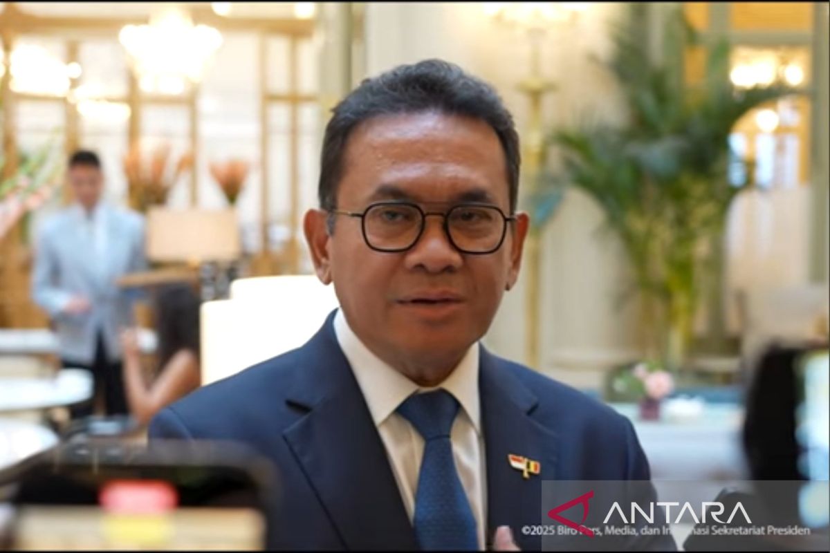 EU eases deforestation rules: Indonesian Trade Minister