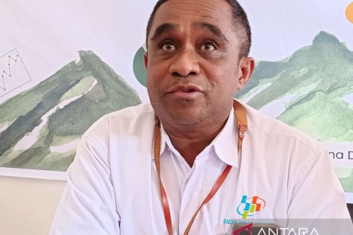 BPS Jayawijaya perkuat pengelolaan data operator kampung