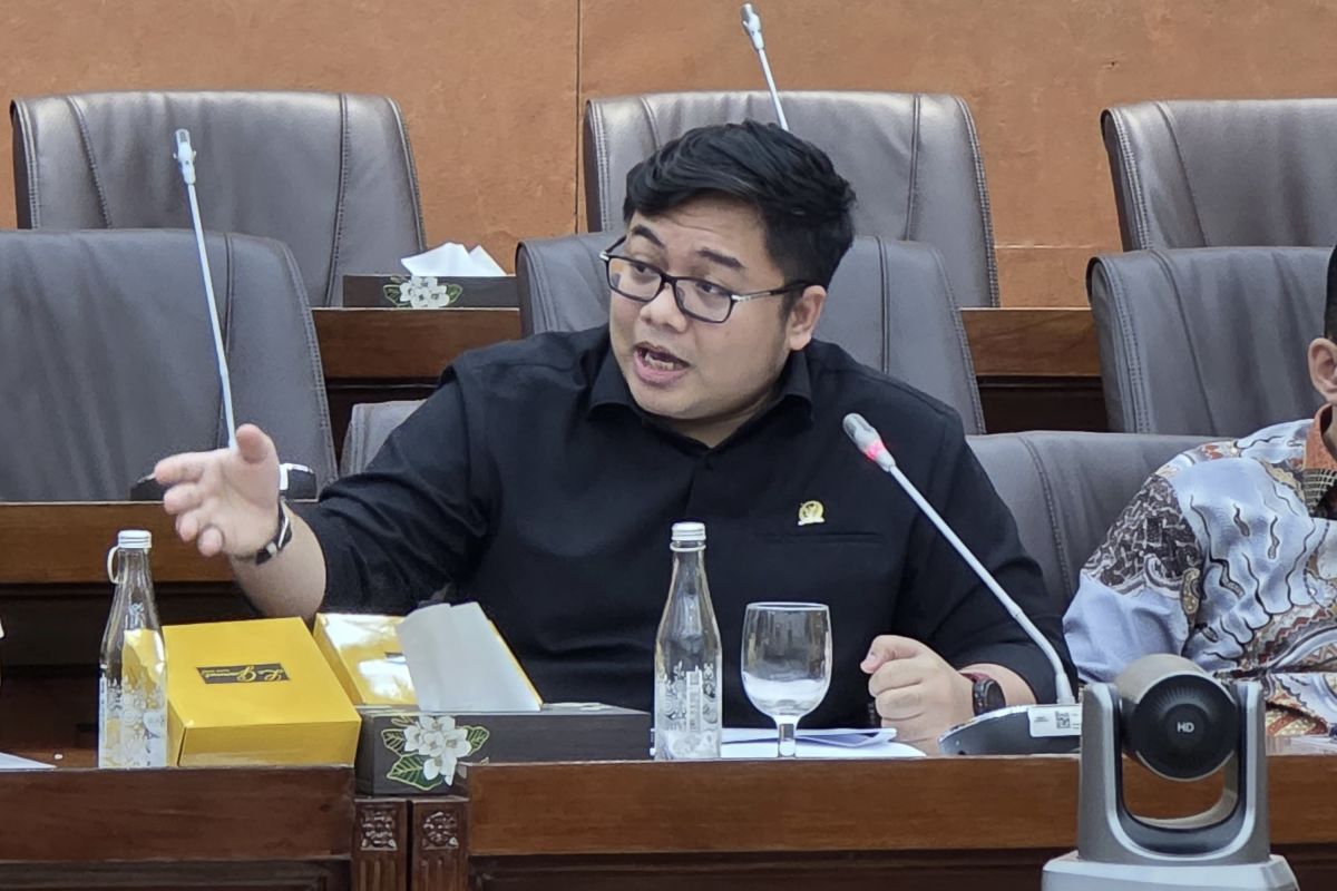 Anggota DPR:  Pemberian abolisi- amnesti bukti Presiden berjiwa besar