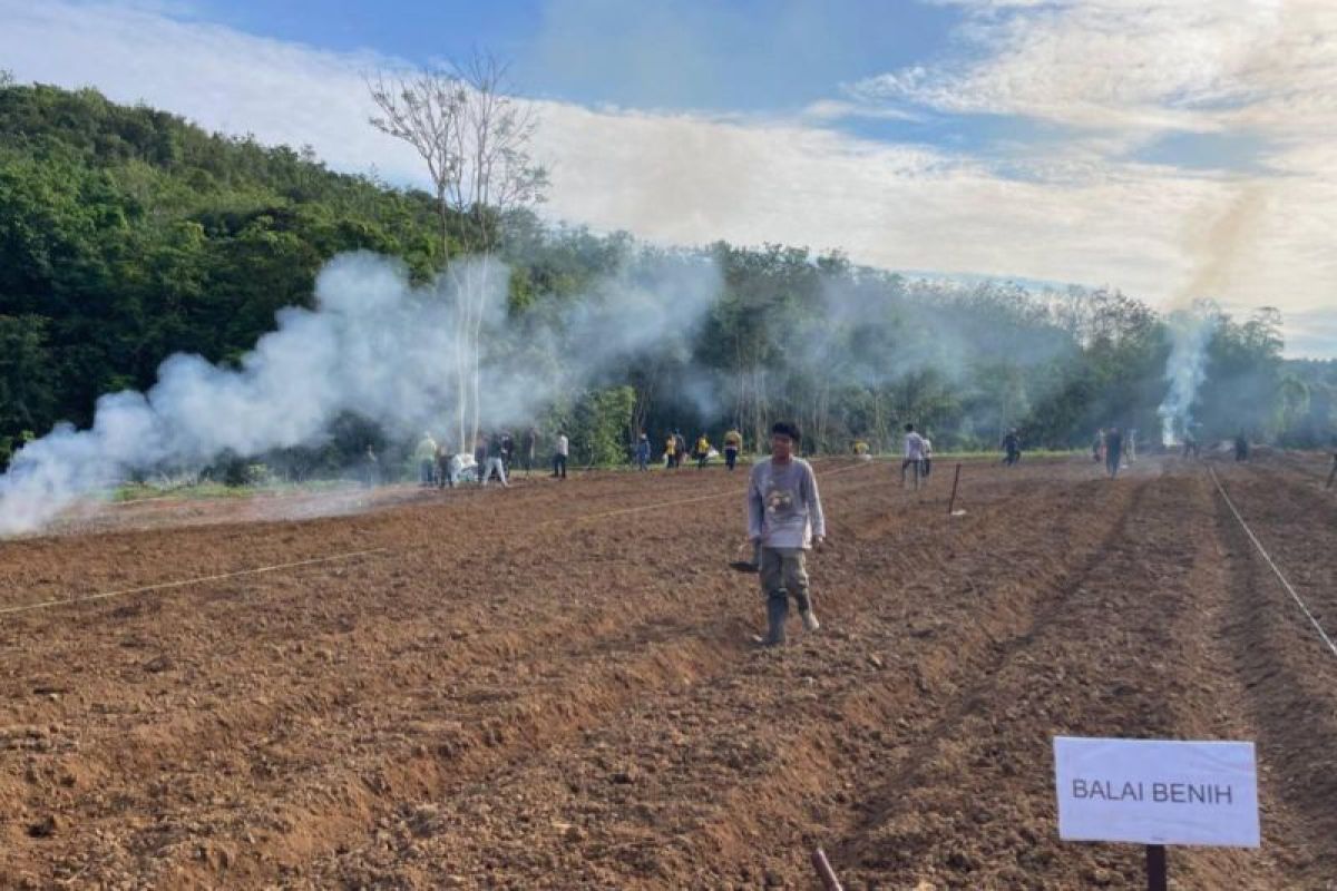 South Kalimantan DPKP turns sport center into agricultural area
