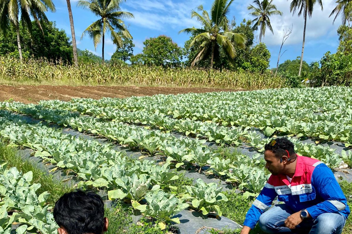 Pertamina Patra Niaga raih 14 penghargaan TJSL ajang ISRA 2025