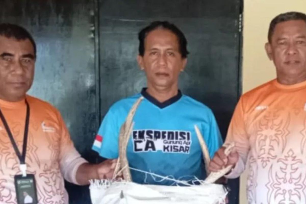BKSDA Maluku gagalkan penyelundupan opsetan  tanduk rusa ke Jakarta