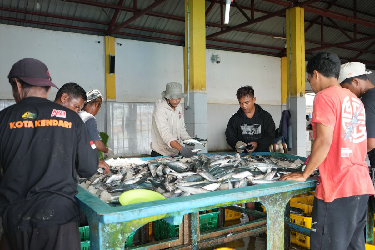 KKP perkuat kelembagaan nelayan lewat kopdes merah putih