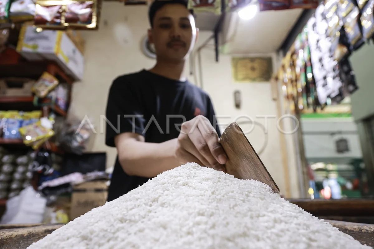 Kadis KPKP DKI angkat bicara soal kasus dugaan beras oplosan