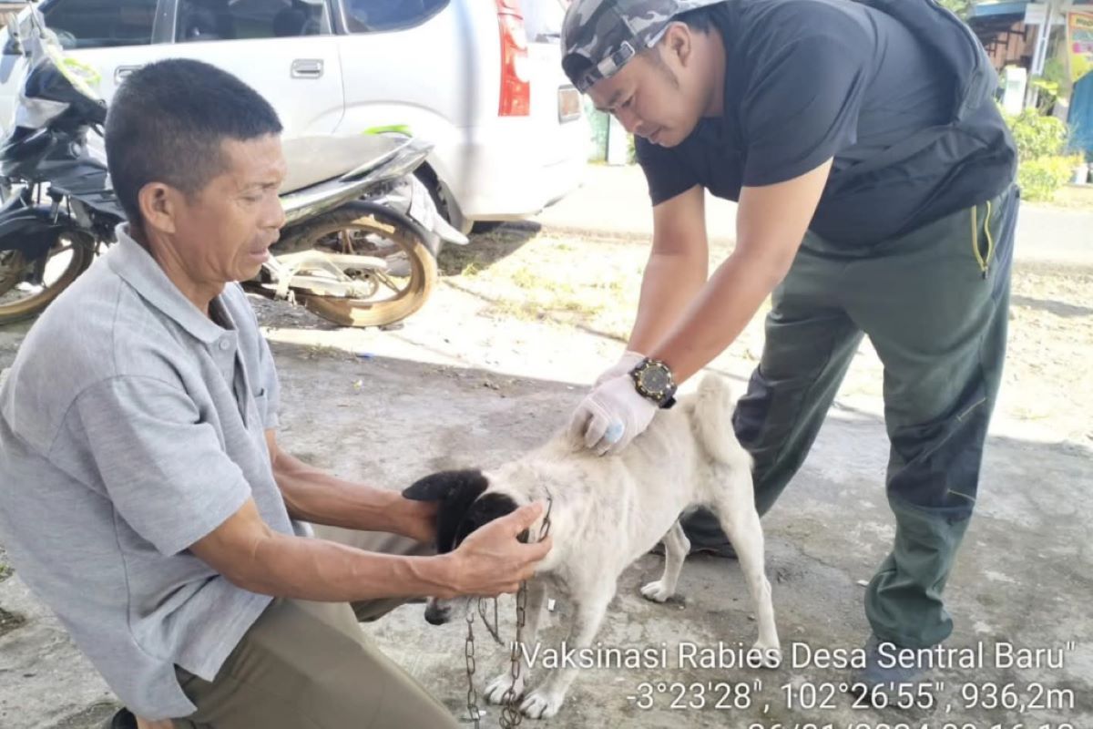 Rejang Lebong gelar vaksinasi HPR di lokasi rawan kasus gigitan