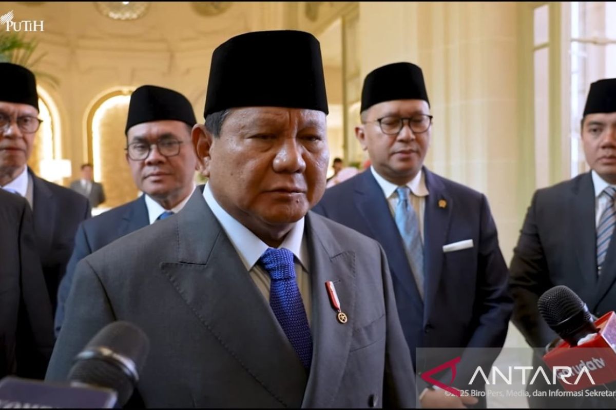 IEU-CEPA provides alternative market for Indonesia: President