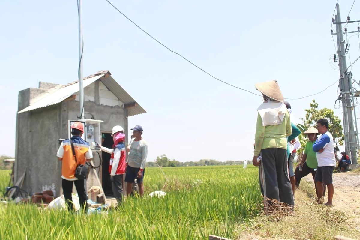 Raih 43 Penghargaan di Nusantara CSR Awards 2025, PLN terima Predikat Platinum SDGs