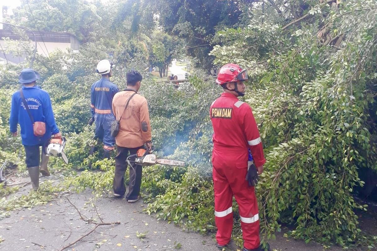 Damkar Batam tangani 68 kasus kebakaran dan satu korban jiwa sepanjang 2025