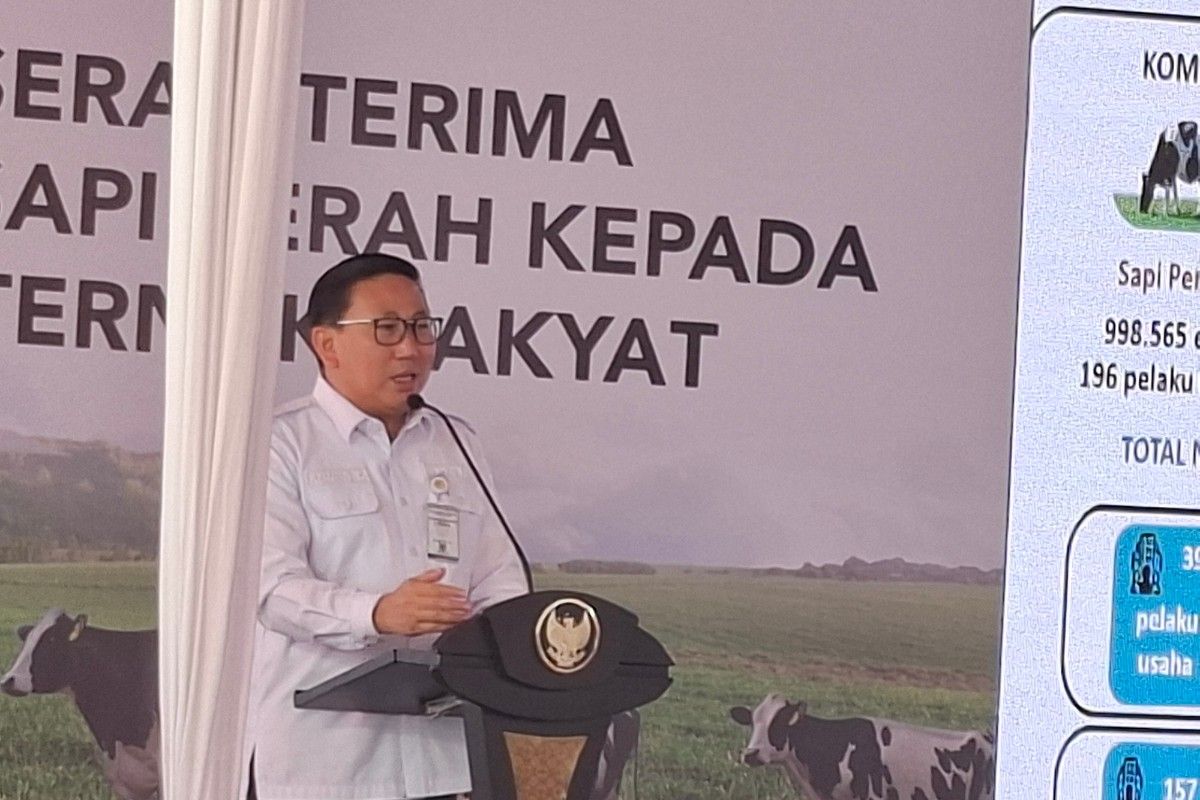 Kementan sebut 25.097 sapi indukan telah didatangkan ke RI per 10 Juli