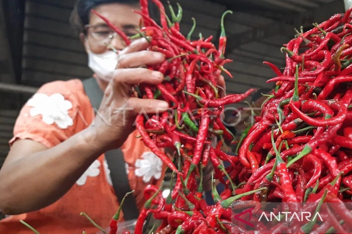 Inflasi Jambi ditingkat 1,34 persen terpantau rendah dibandingkan nasional
