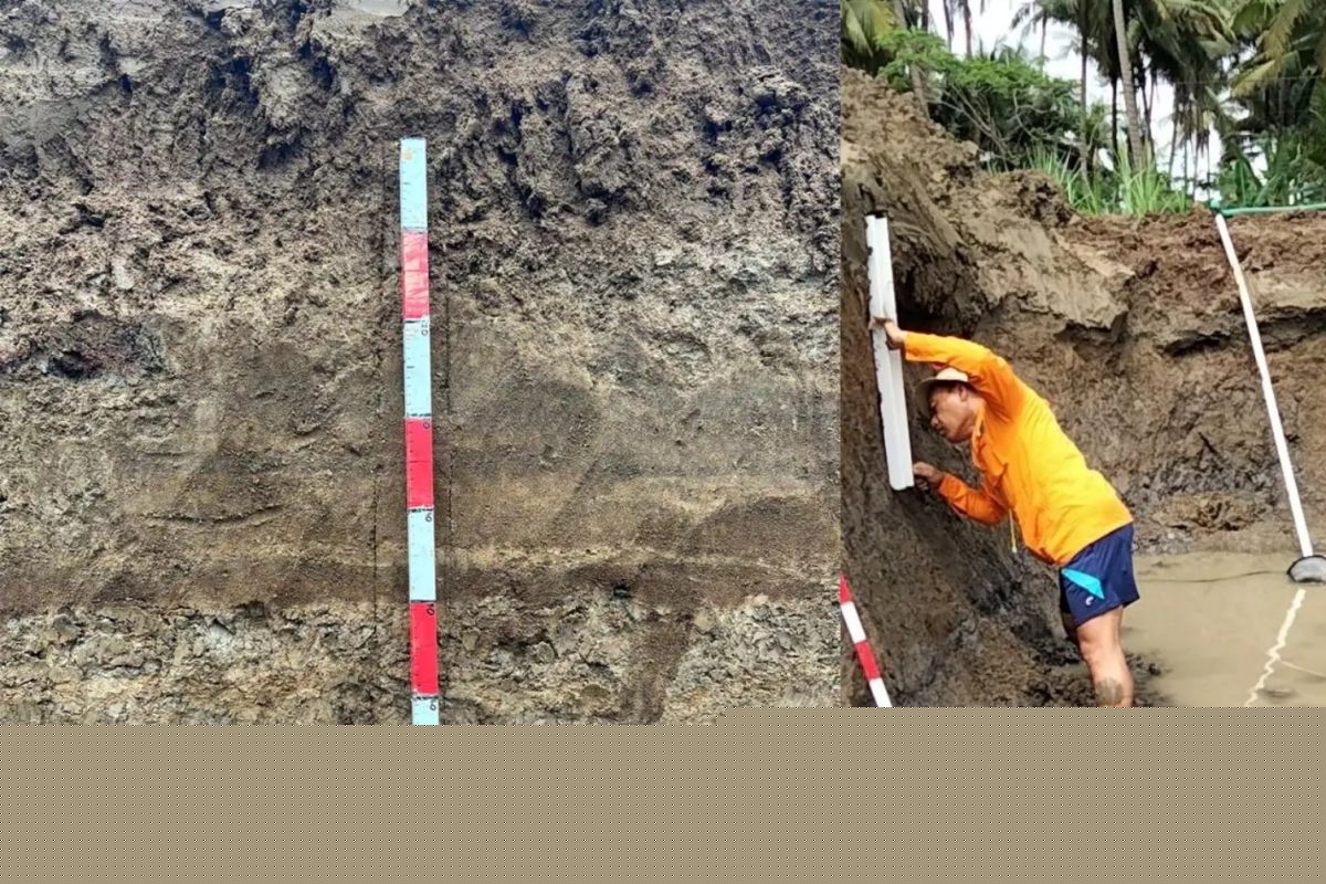 BRIN uncovers ancient tsunami evidence near Yogyakarta Airport