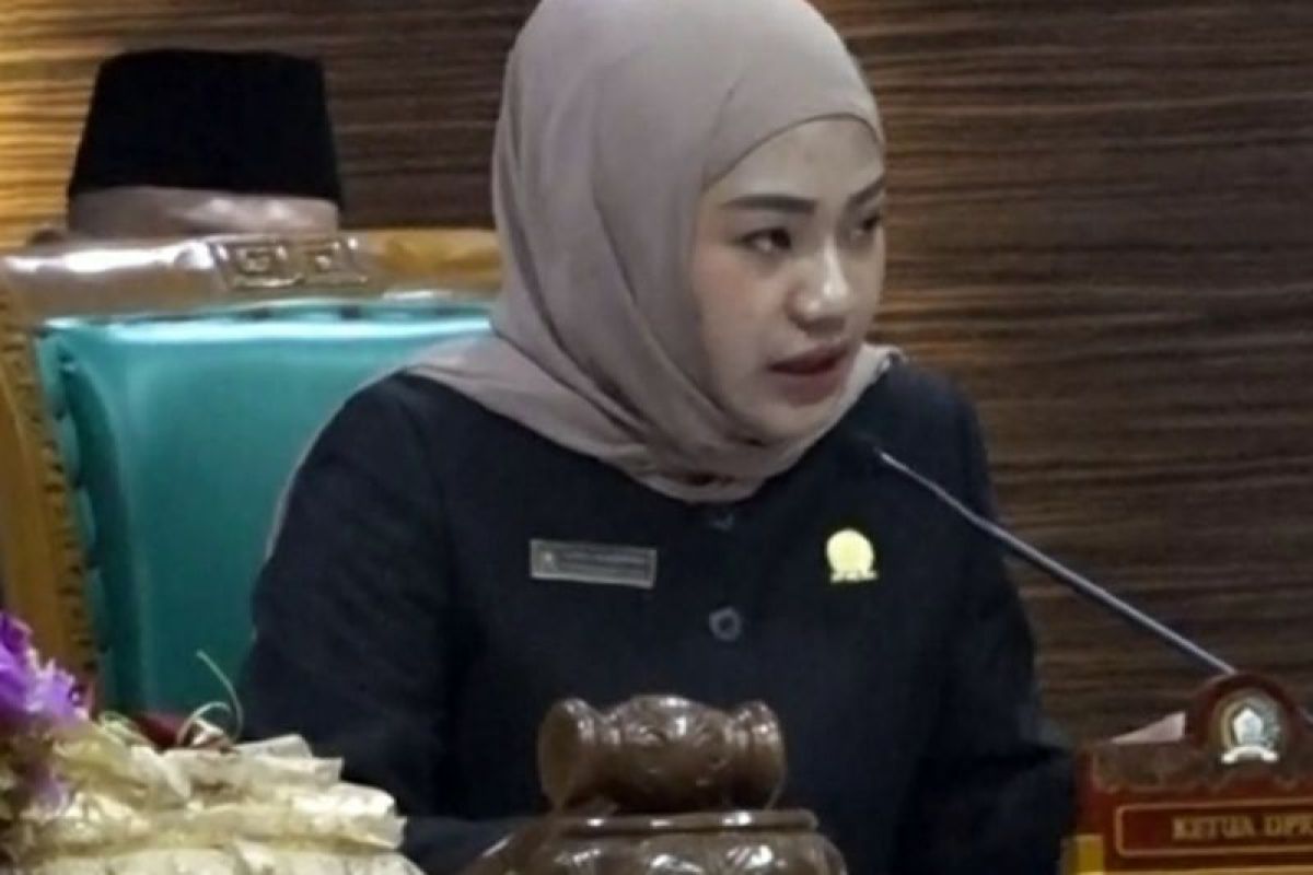 DPRD Batola dukung Kejari sebarkan informasi lelang barang negara