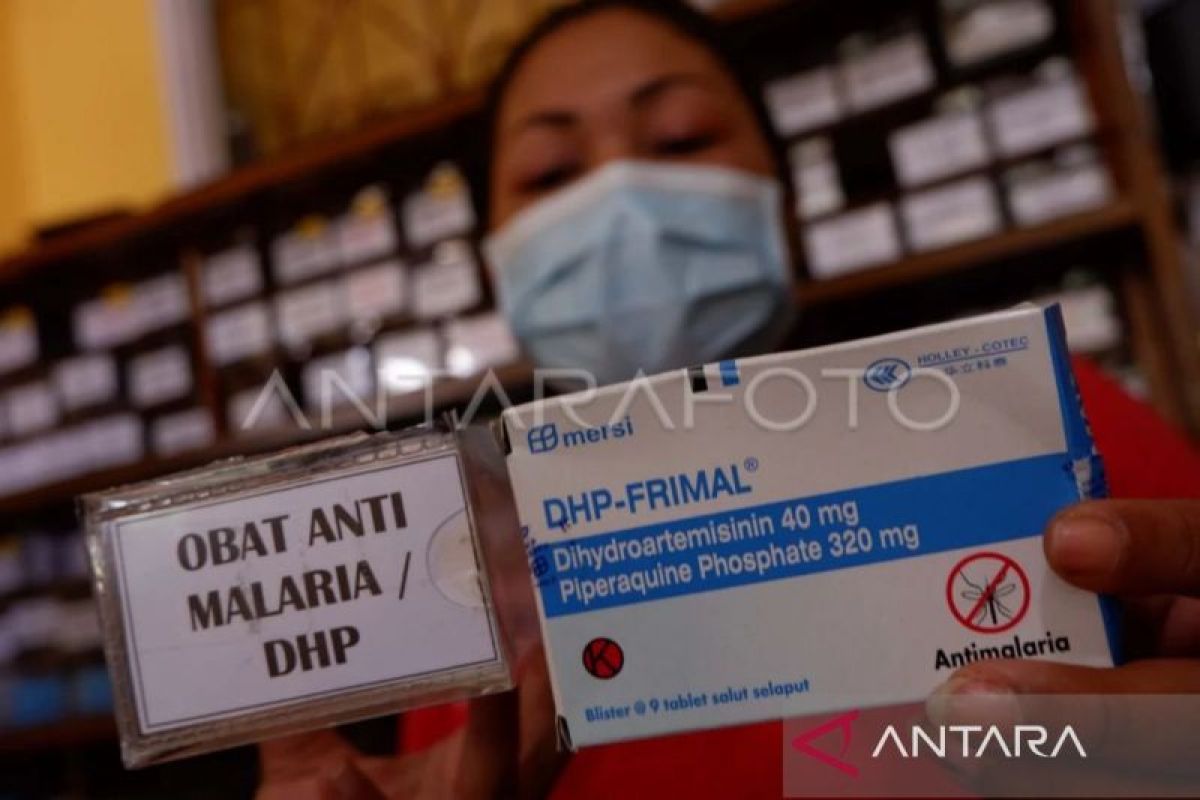 Malaria di Kaltim  alami penurunan signifikan tiga tahun terakhir