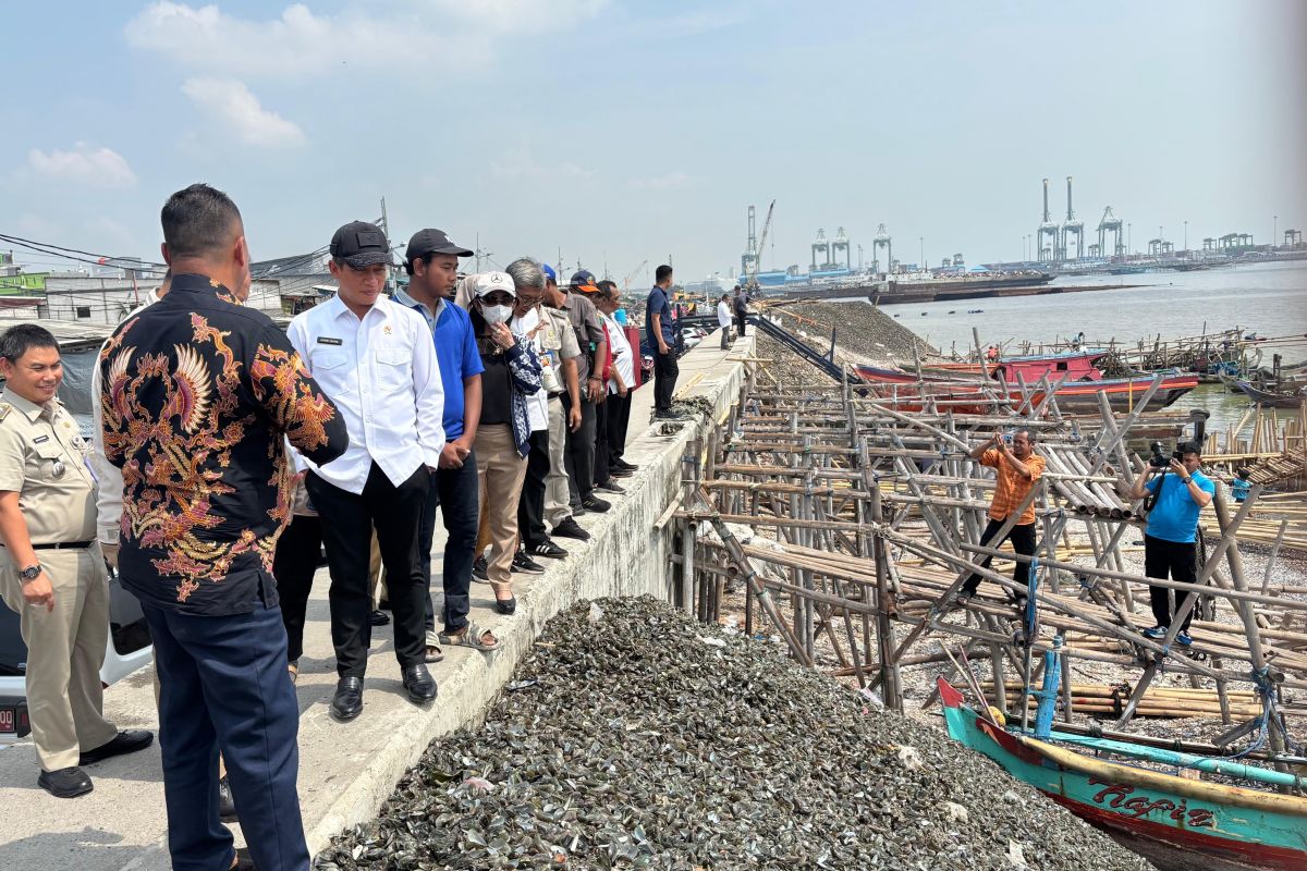 KLH akan koordinasi dengan DKI tangani gunungan limbah kerang di Jakut