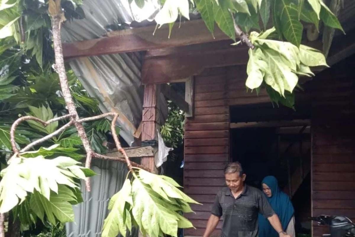 Cuaca buruk, sejumlah rumah ditimpa pohon di Simeulue