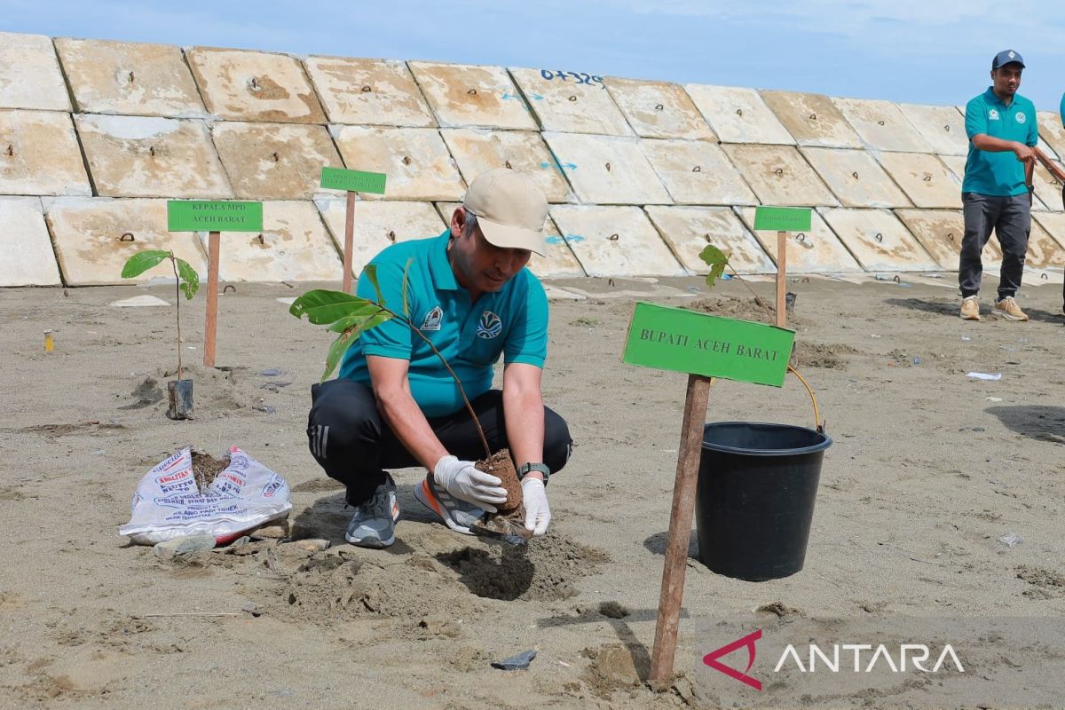 West Aceh plants thousand trees to combat coastal erosion