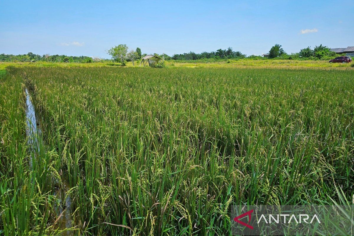 Pemerintah bangun sumur bor untuk para petani di Natuna