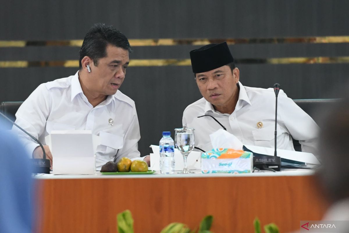 Wamendes PDT dorong  kolaborasi tuntaskan beragam masalah di desa