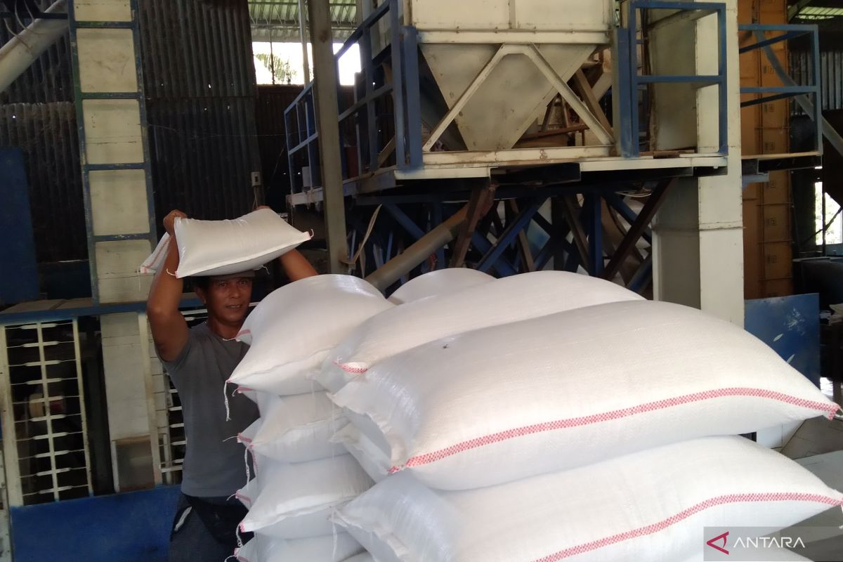 Aprindo Bali awasi agar supermarket tidak jual beras oplosan