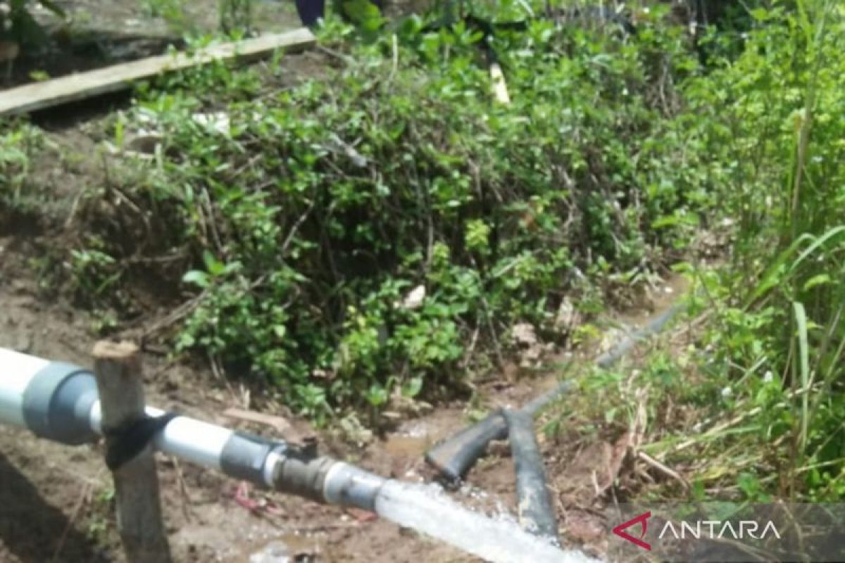 Pemkab Mukomuko targetkan tanam padi gogo seluas 50 ha