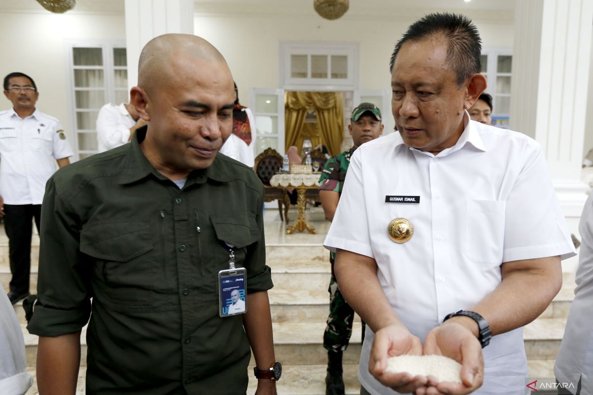 116.276 KPM di Provinsi Gorontalo terima bantuan pangan beras