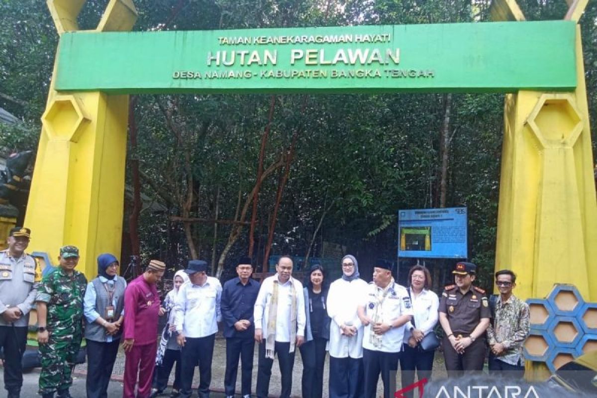 Bangka Tengah siapkan kios khusus madu pelawan di KDMP Namang