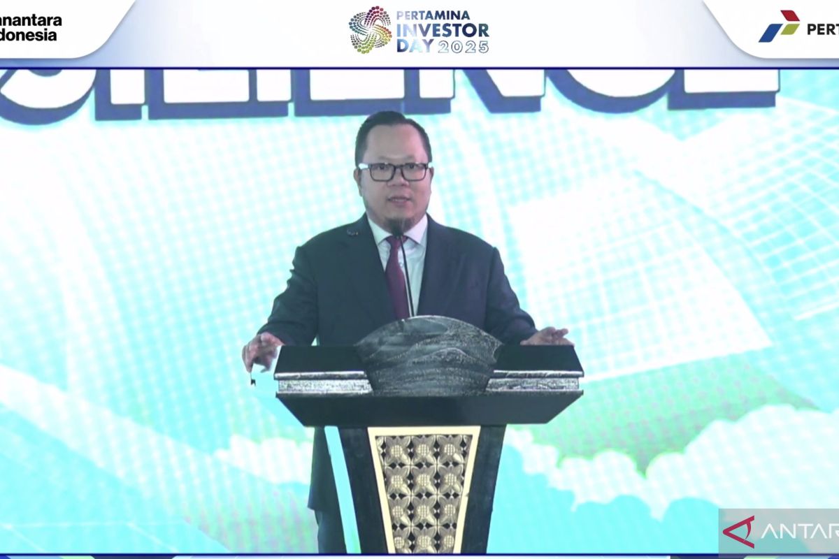 Indonesia's Danantara eyes mineral, energy deals in 6 months