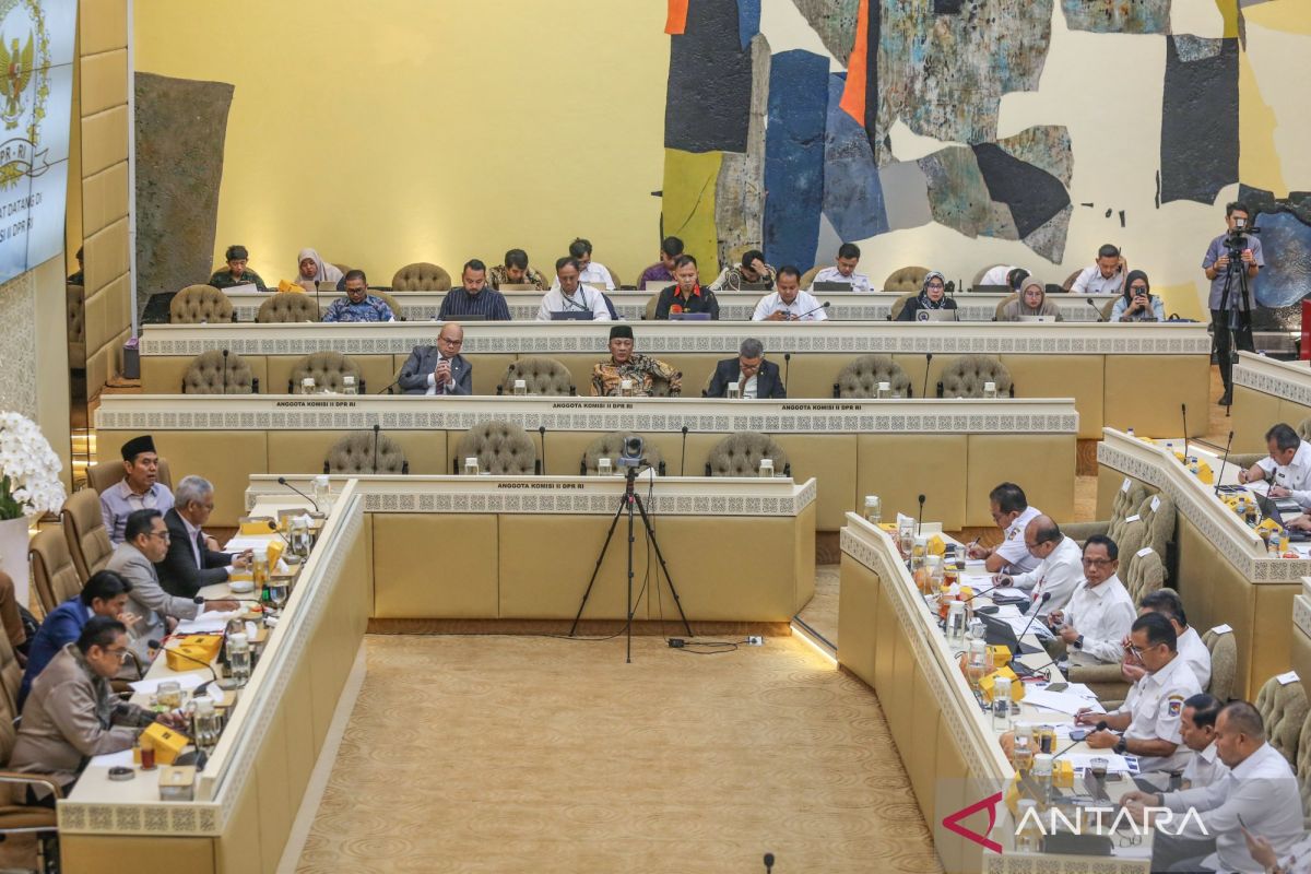 Govt prepares law to reform regional-owned firms: DPR