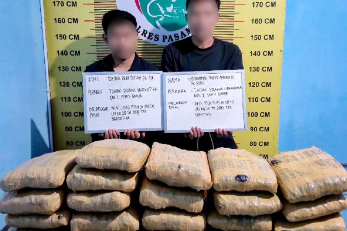 Satres Narkoba Polres Pasaman gagalkan peredaran 21 paket besar Ganja