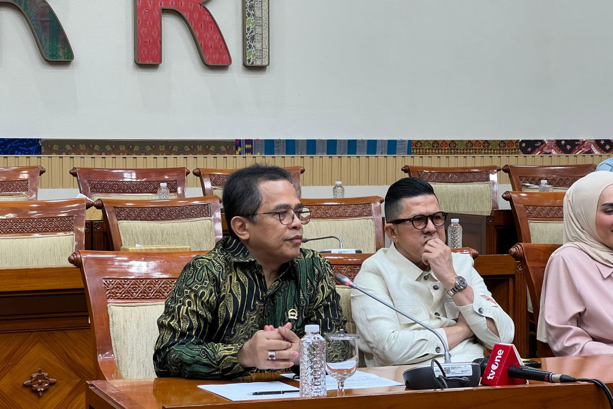 Sekjen DPR menjelaskan situs DPR kerap down sehingga draf sulit diakses publik