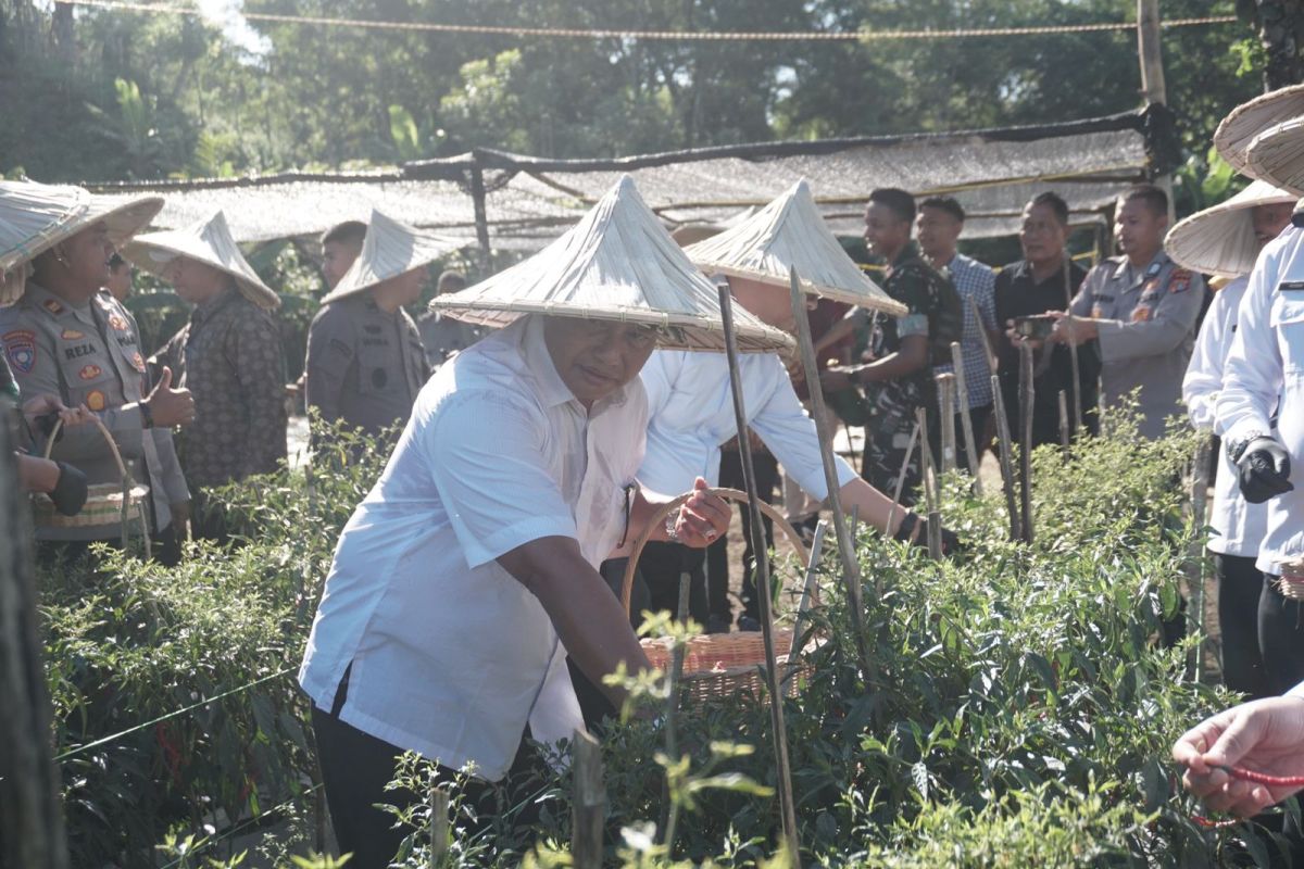 Pertanian di Rutan Jantho dukung ketahanan pangan Aceh Besar