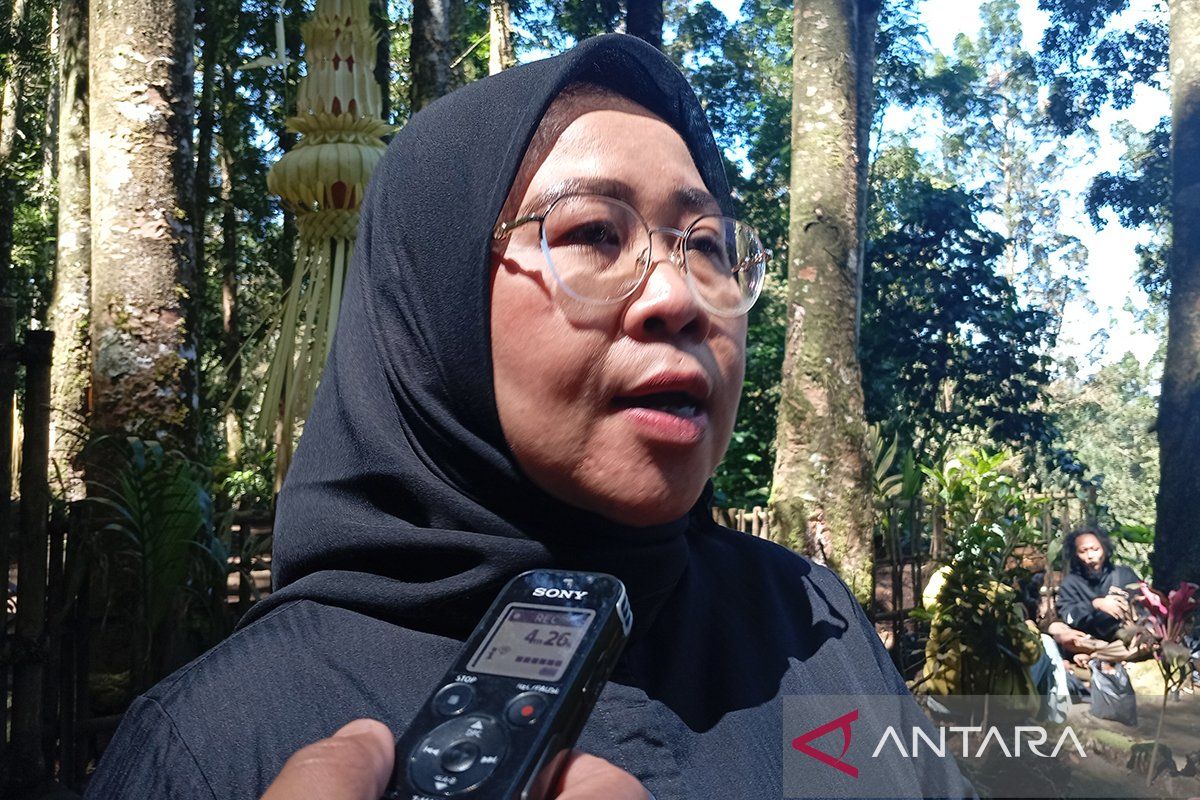 Komisi VII DPR: Budaya lokal penting  jadi promosi wisata era digital