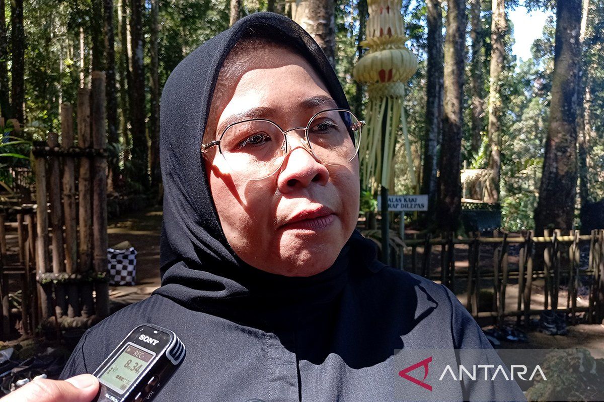 Travel warnings not affecting Indonesia's tourism industry: Legislator