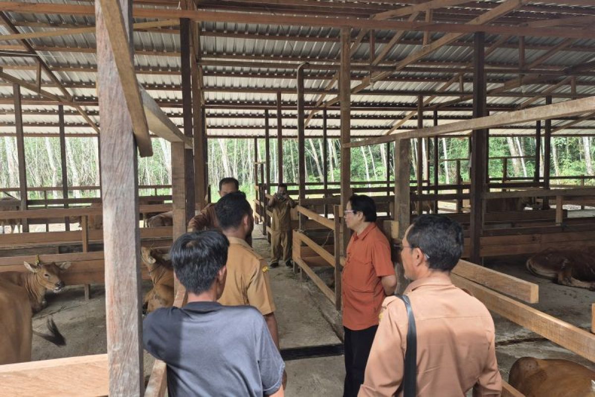 DPRD Kalsel: Kandang komunal contoh sukses peternak Tabalong