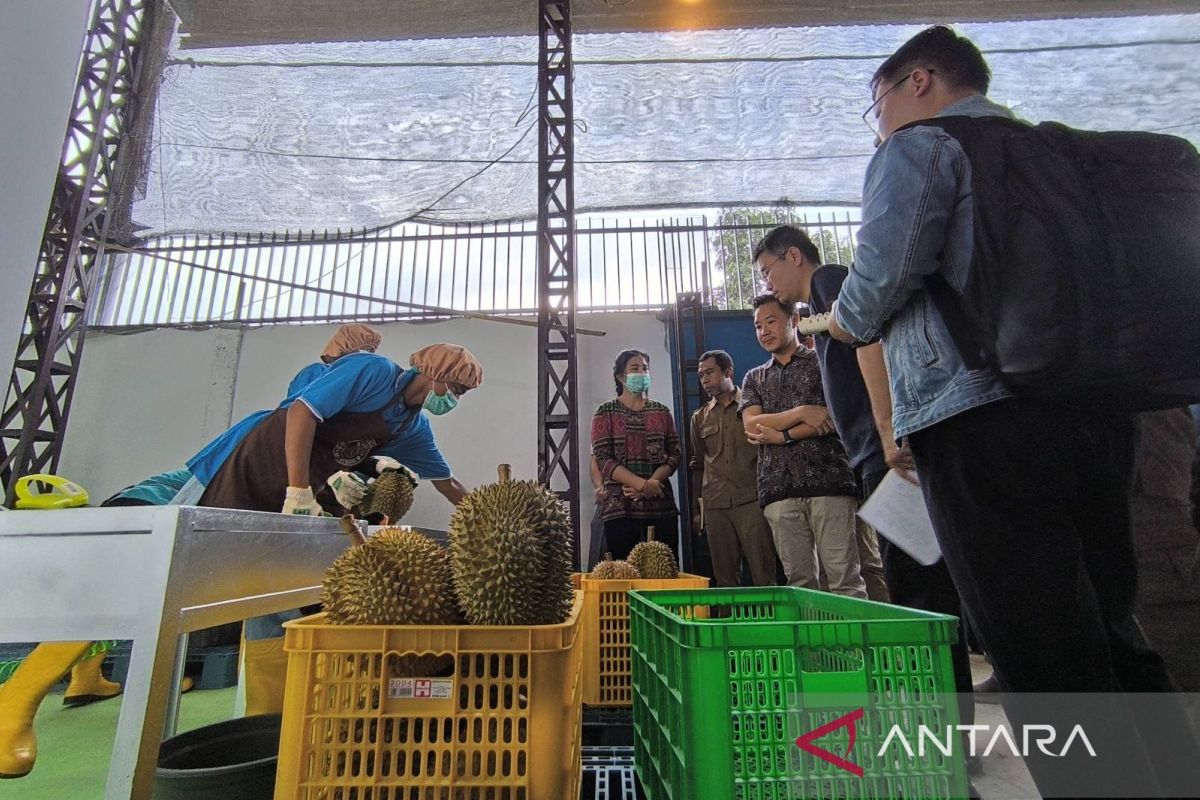 Kadin siap kolaborasi wujudkan 100 ribu hektare lahan durian di Parigi Moutong