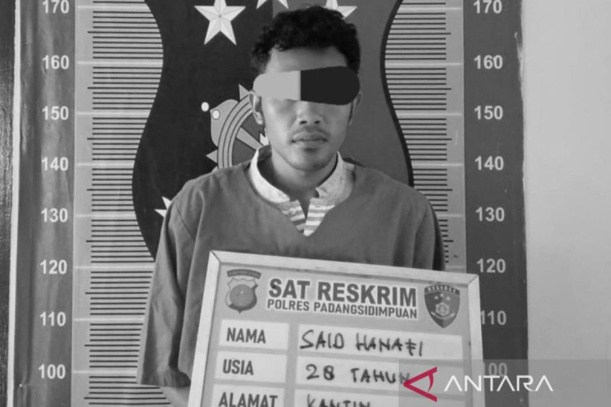 Pelaku pembacokan penjual bakso di Padangsidimpuan ditangkap polisi