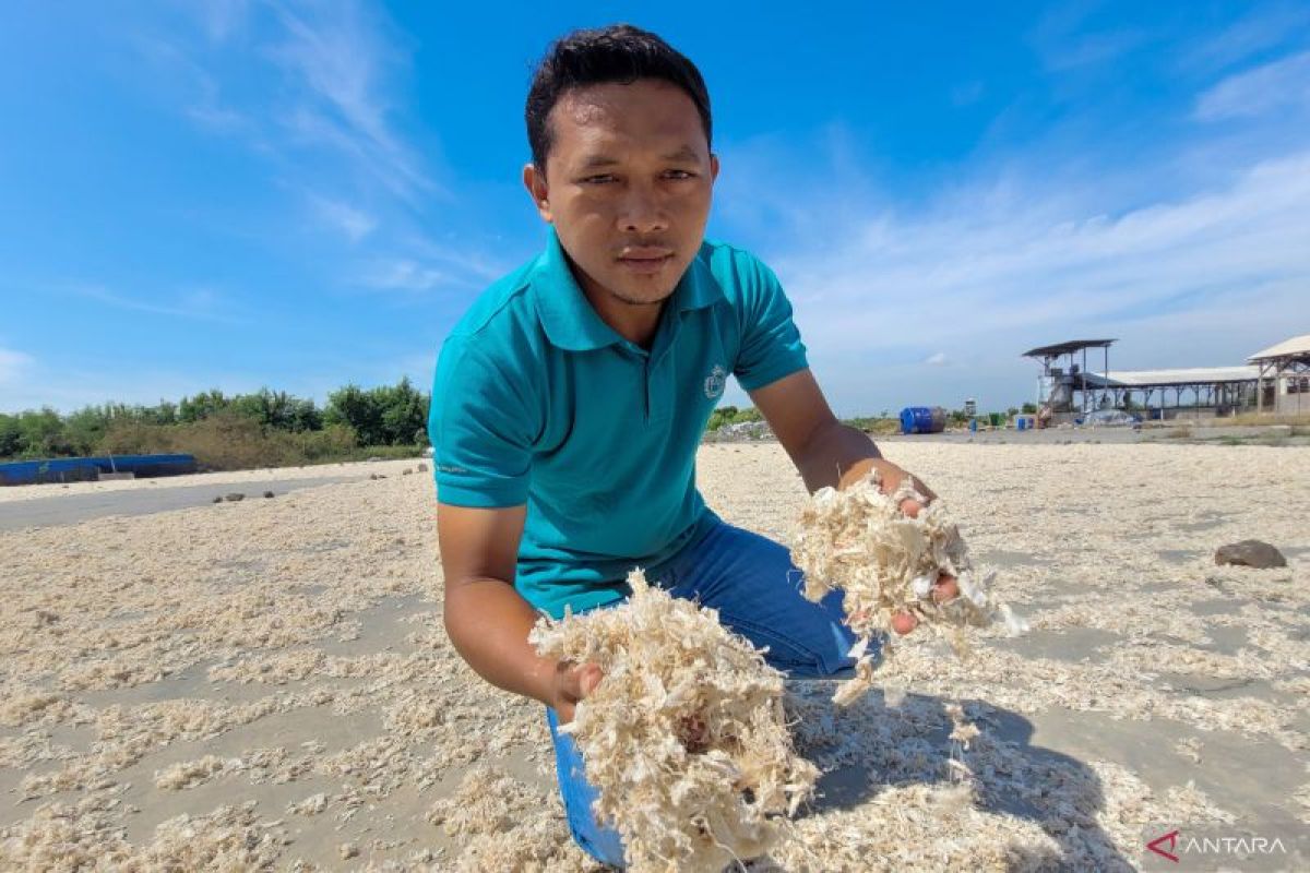 Pemkab Situbondo dukung pemuda inovatif bikin pupuk cair limbah udang