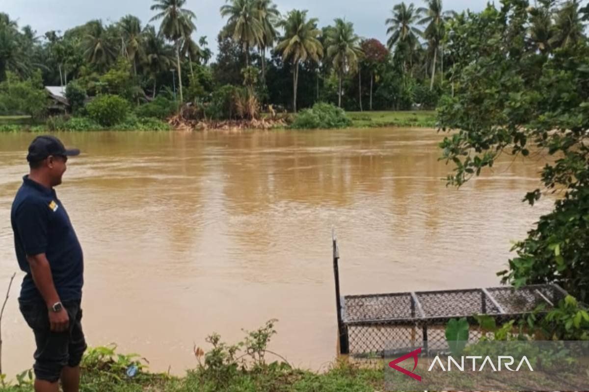 BKSDA Aceh pasang perangkap buru buaya muara di aliran sungai Aceh Barat