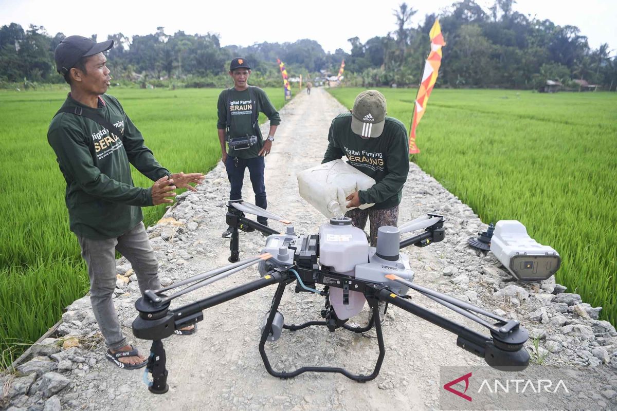 Brazil keen to invest in East Sumba cattle farms: minister