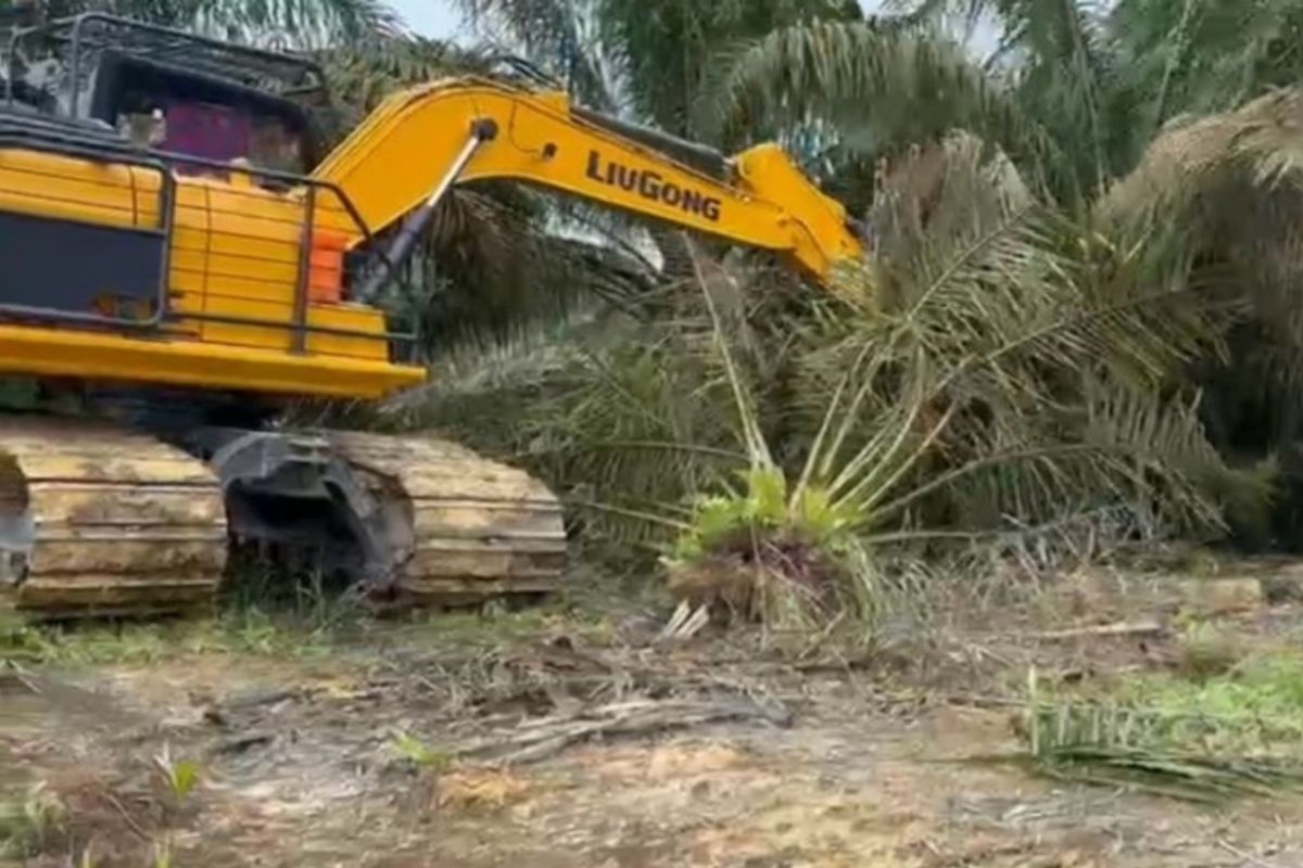 Warga TNTN bertahan meski batas relokasi mandiri habis, harapkan kejelasan dan solusi