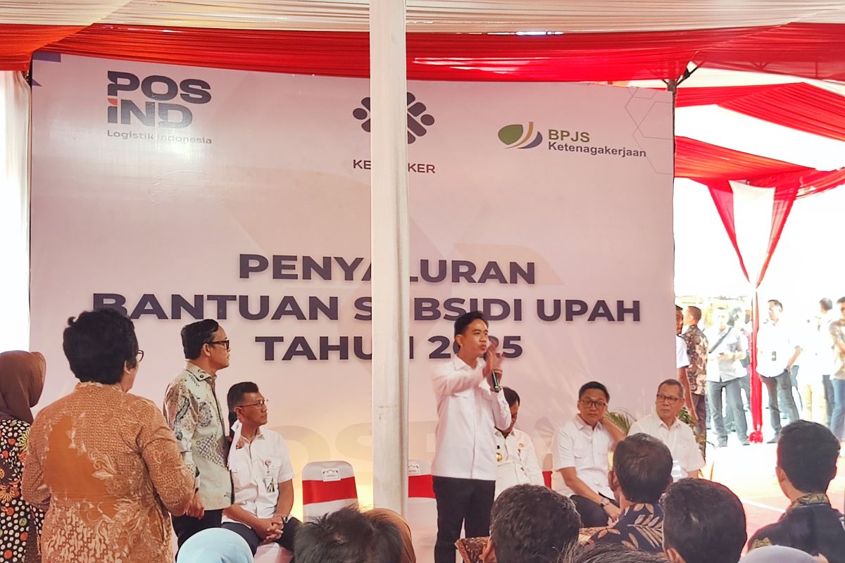 Vice President calls for prudent use of wage aid funds