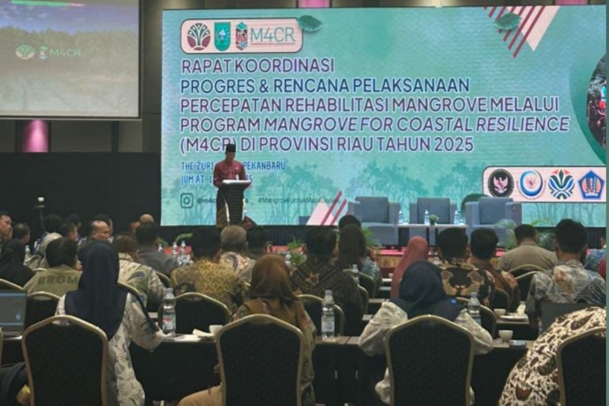 Pemprov Riau targetkan rehabilitasi 4.200 Ha mangrove tahun ini