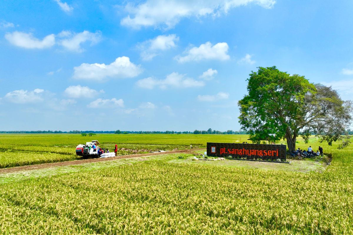 PT Sang Hyang Seri luncurkan benih dasar dan aplikasi AgroFarm