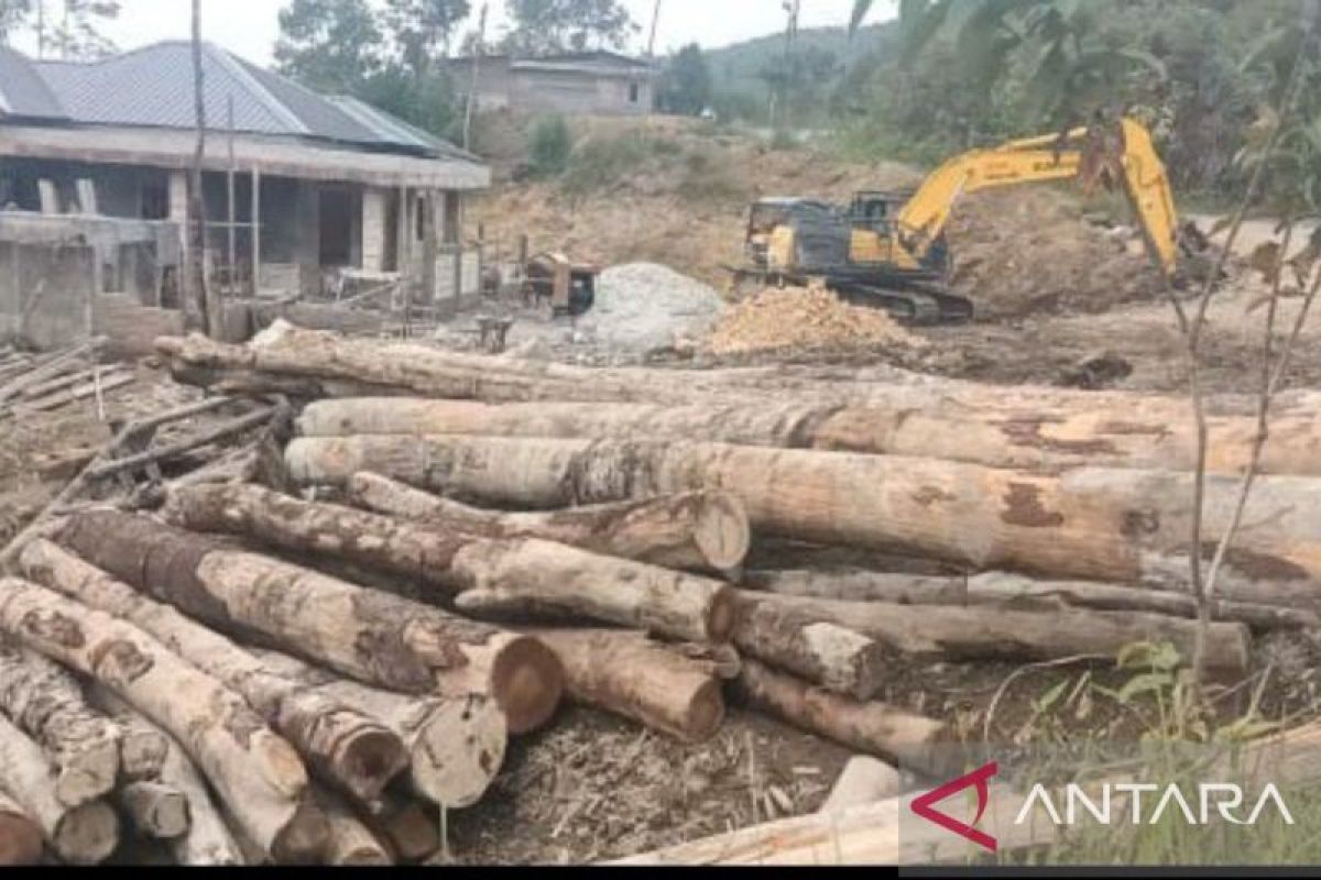 Hutan Parmonangan Taput dirambah, KPH XII : 