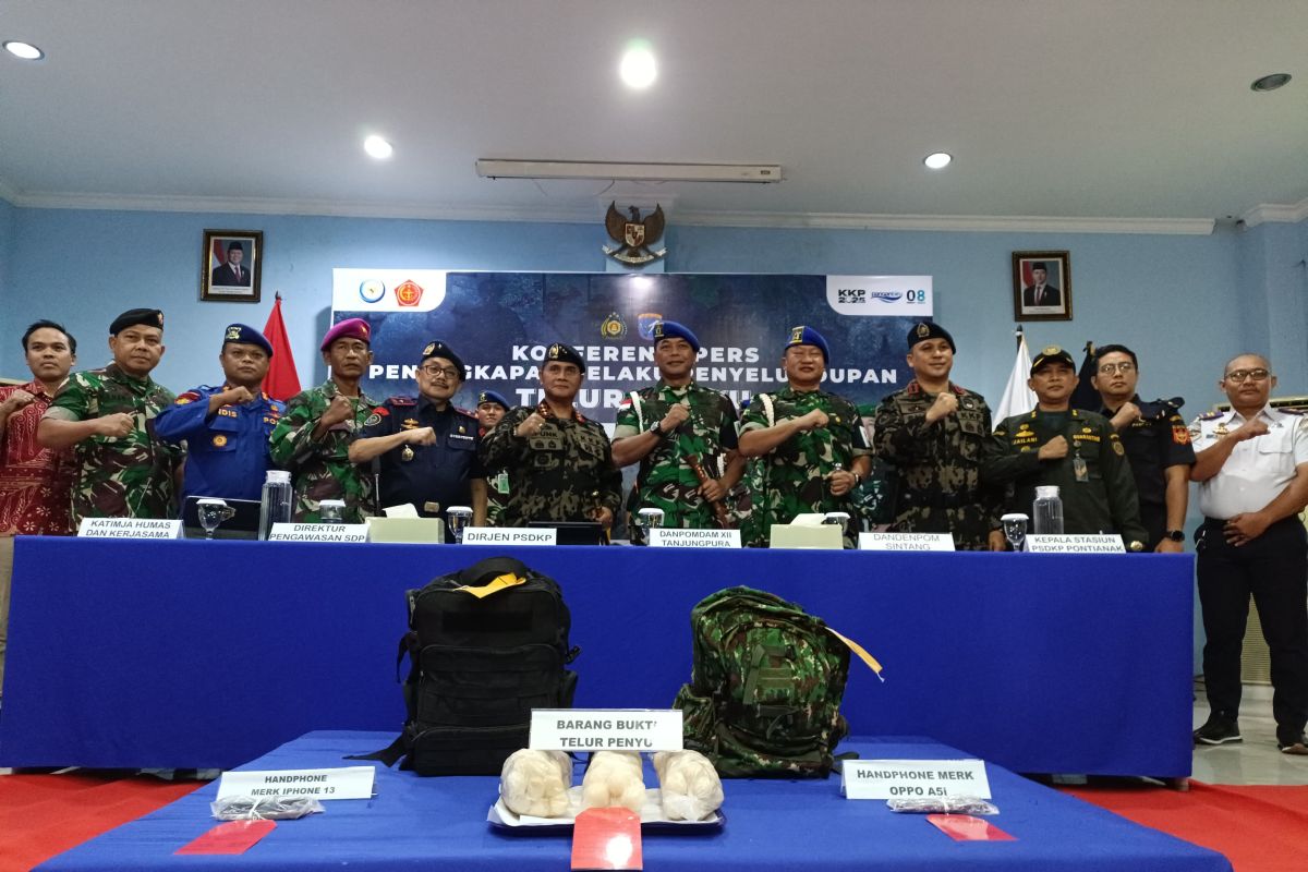 POM selidiki anggota TNI terlibat perdagangan telur penyu