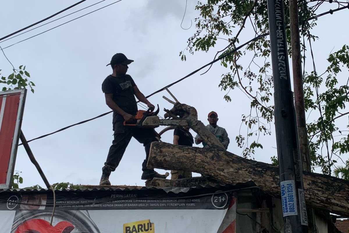17 bangunan di Aceh Besar rusak akibat angin kencang