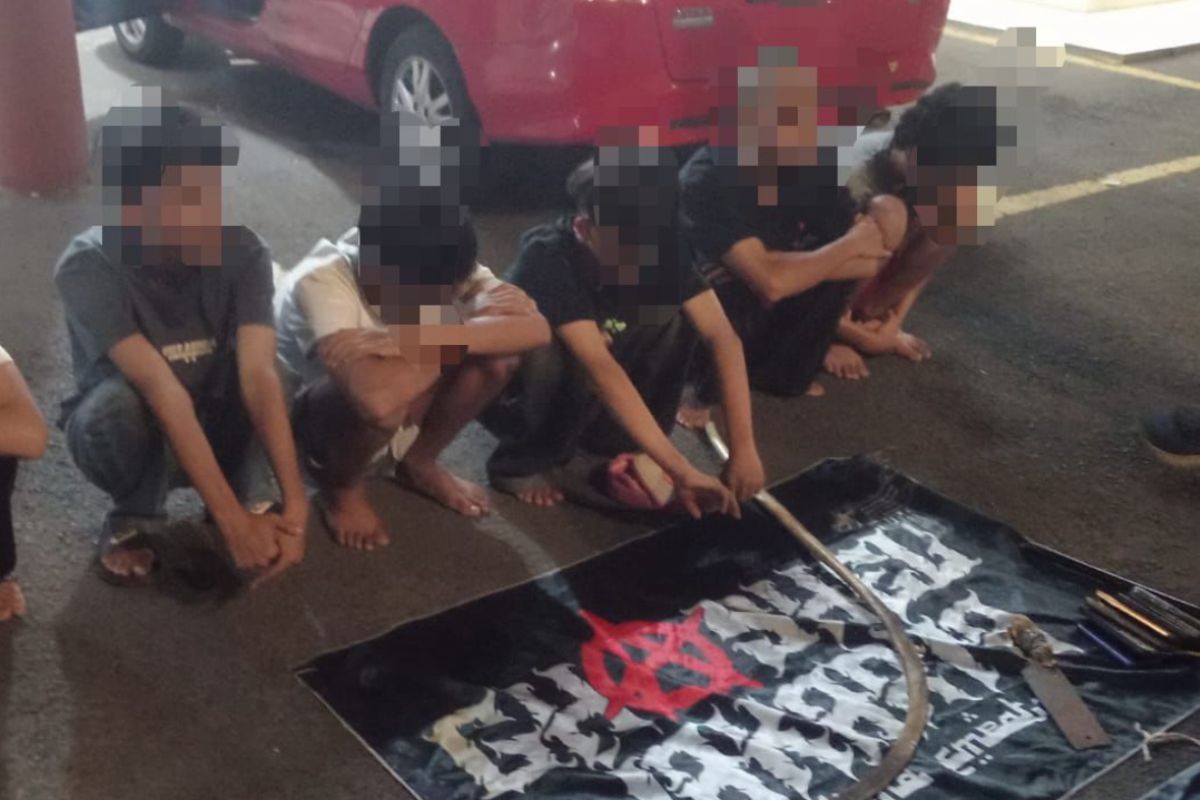 Polisi dalami kasus tawuran antar geng di Tanjung Priok