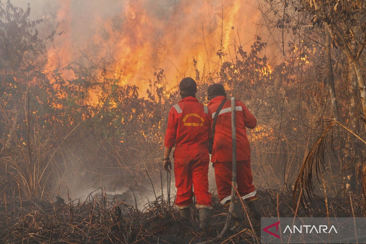 Riau still epicenter of land, forest fires, BNPB says